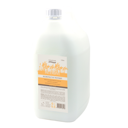 Natural Look Intensive Reconstructive Treatment 5 Litre