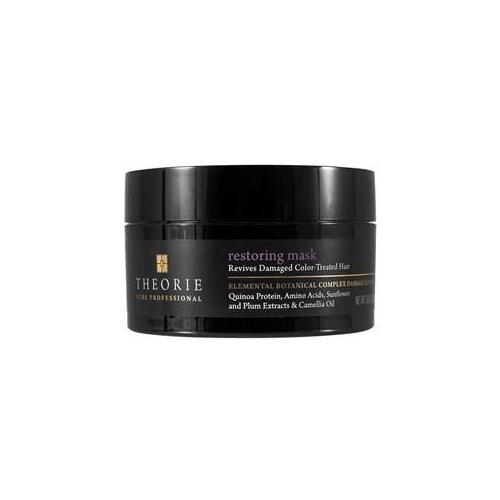 Theorie Pure Professional Restoring Mask 193g 
