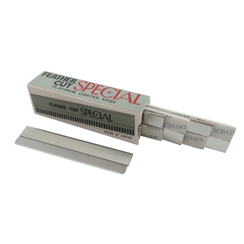 Styling Blades Feather 10pk