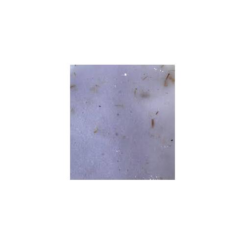 Panemorfi Lavender Petal Jelly Mask 500g